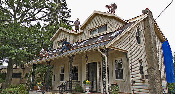 Best Local Roofing Companies  in Dumbarton, VA